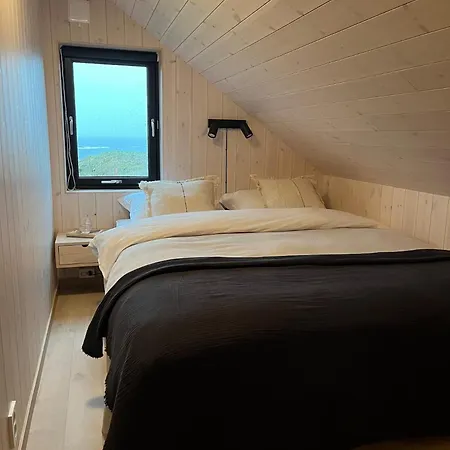 With Mountain View! *